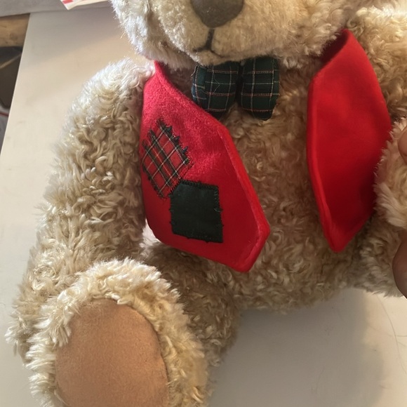 Dapper looking bear - Picture 2 of 4